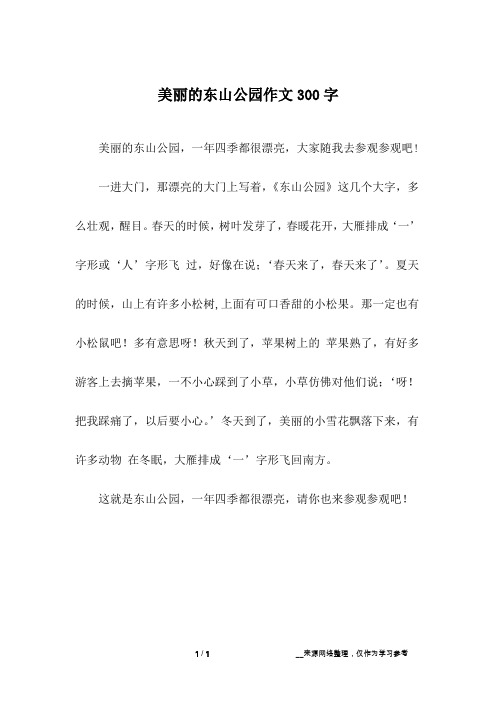 美丽的东山公园作文300字