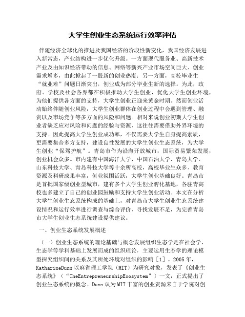 大学生创业生态系统运行效率评估