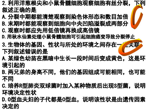 2018湛江一模