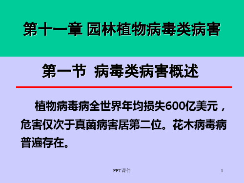 园林植物病理学--病毒病害  ppt课件