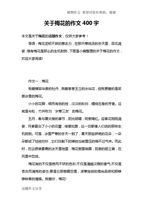 关于梅花的作文400字