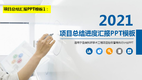 项目申报汇报ppt