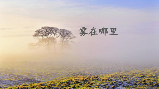 新人教统编版小学二年级语文上册《雾在哪里》教学课件ppt