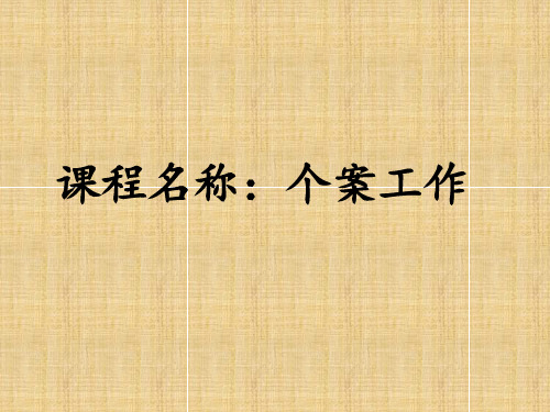 个案工作 ppt课件