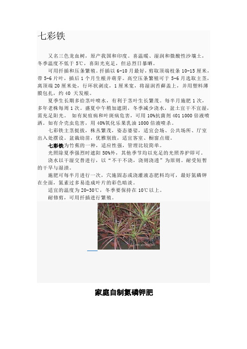 七彩铁