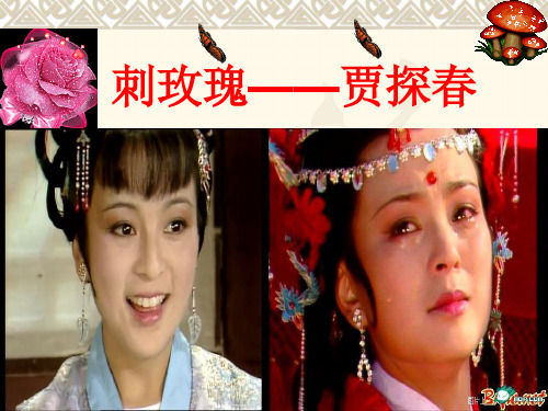 刺玫瑰——贾探春