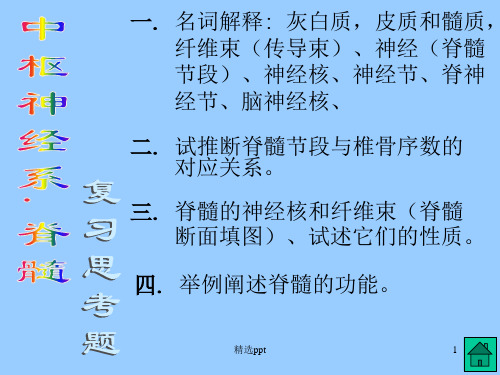 神经内科复习思考题