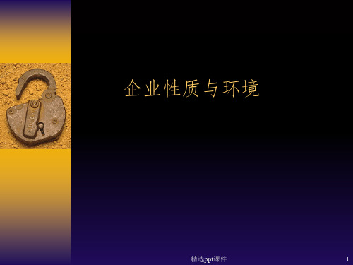 企业性质与环境ppt课件