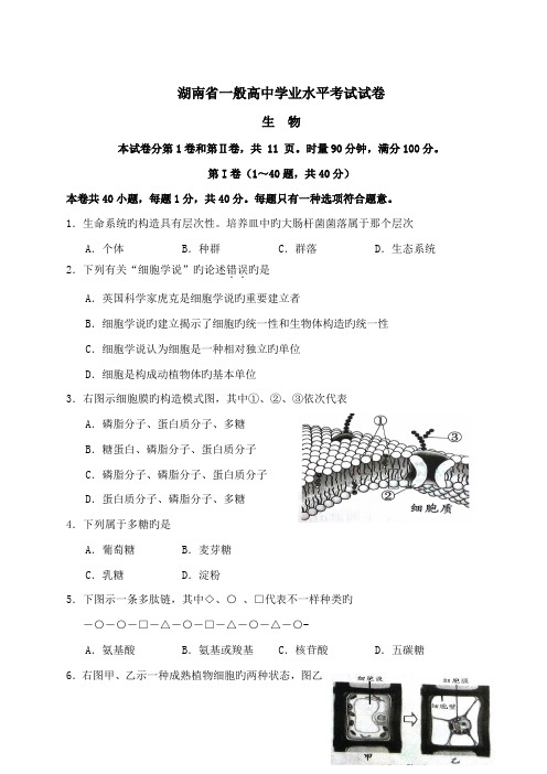 2023年湖南省普通高中学业水平考试生物试卷