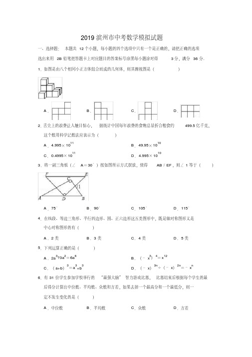 2019滨州市中考数学模拟试题(有解析)