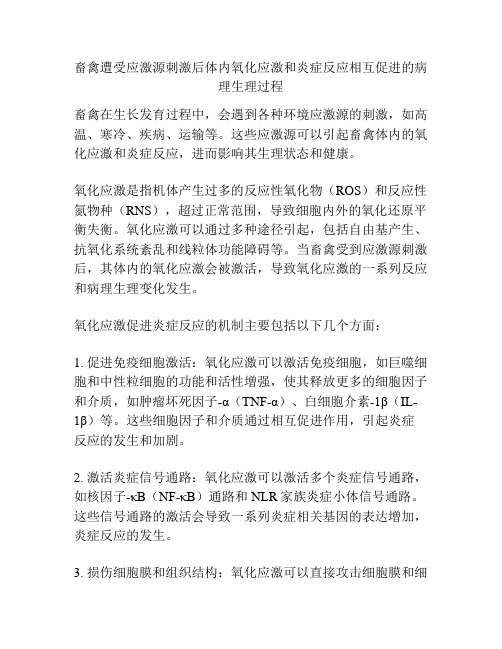 畜禽遭受应激源刺激后体内氧化应激和炎症反应相互促进的病理生理过程
