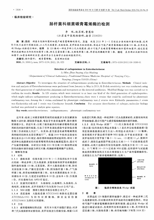 肠杆菌科细菌碳青霉烯酶的检测