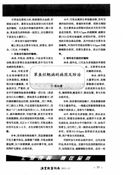 草鱼烂鳃病的病因及防治
