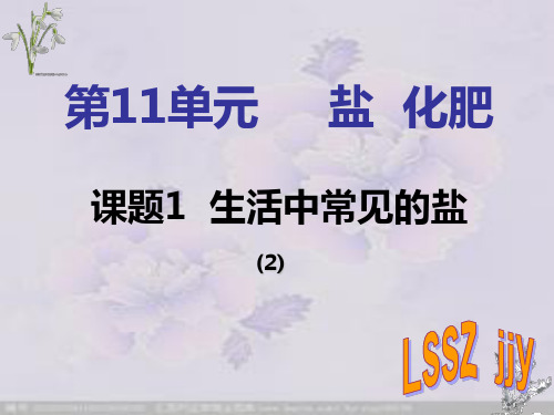生活中常见的盐第二课时