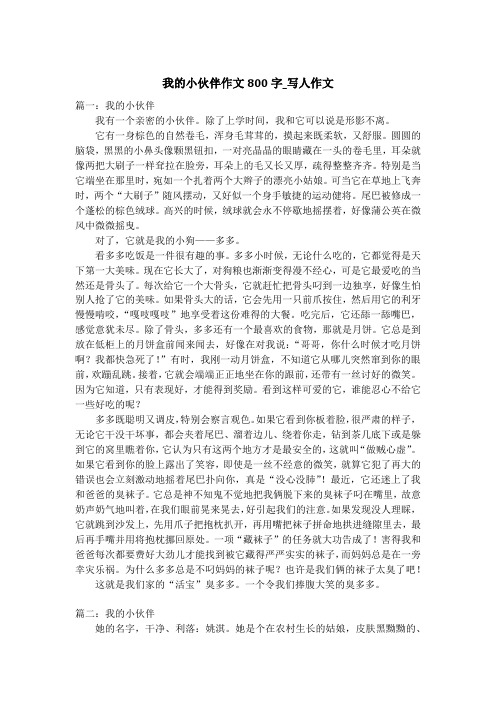我的小伙伴作文800字_写人作文