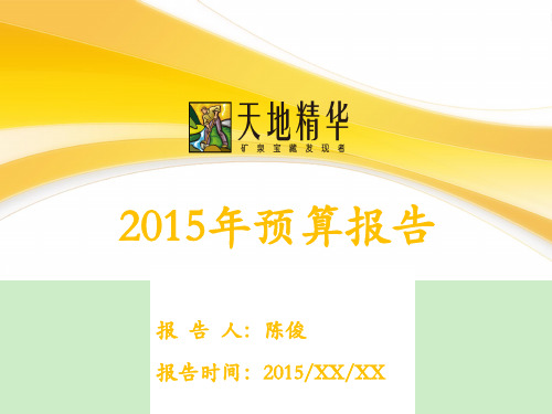 2015年大区预算模板