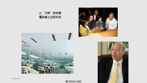 皮革工厂设计PPT课件