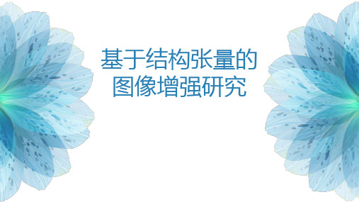 基于结构张量的图像增强