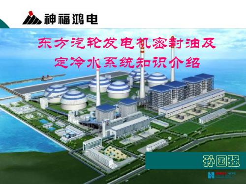 东方汽轮发电机密封油及内冷水系统介绍讲诉