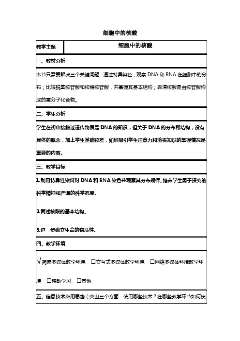 中图版必修一 细胞中的核酸 教案