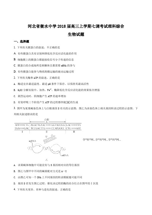 衡水中学2018届高三上学期七调考试理科综合生物试题(原卷版)