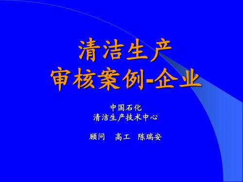 清洁生产审核案例-企业-2