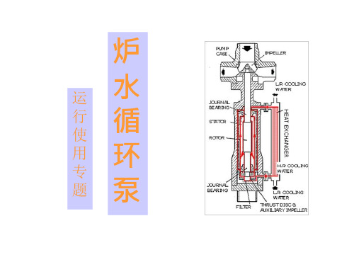 炉水循环泵本体研究