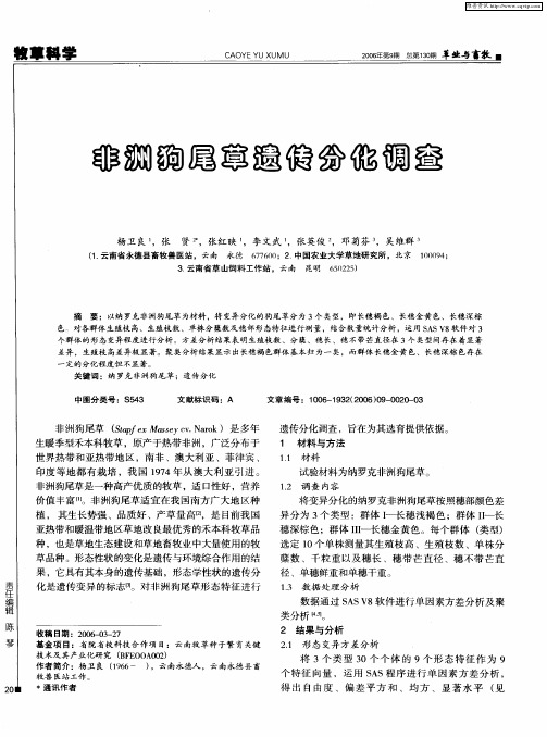 非洲狗尾草遗传分化调查