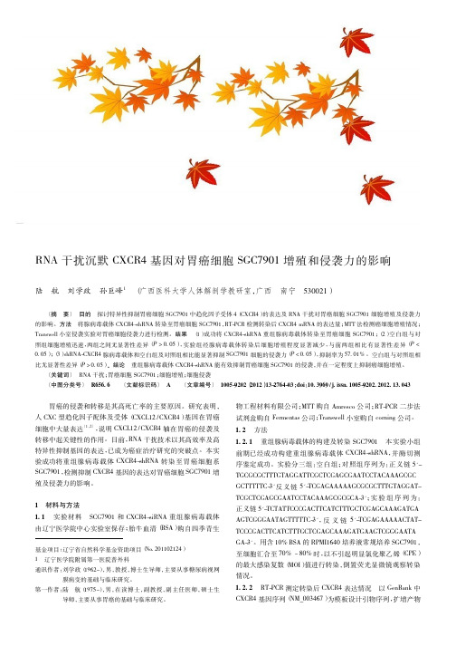 RNA干扰沉默CXCR4基因对胃癌细胞SGC7901增殖和侵袭力的影响
