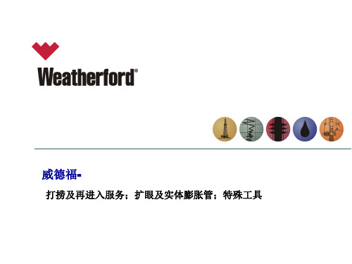 威德福的打捞及再进入服务