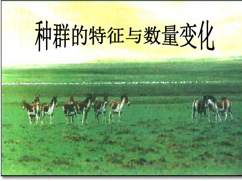 高中生物种群的特征和数量变化名师精编课件新人教版必修3