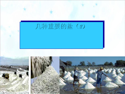 九年级上科学《几种重要的盐》PPTPPT课件浙教版2