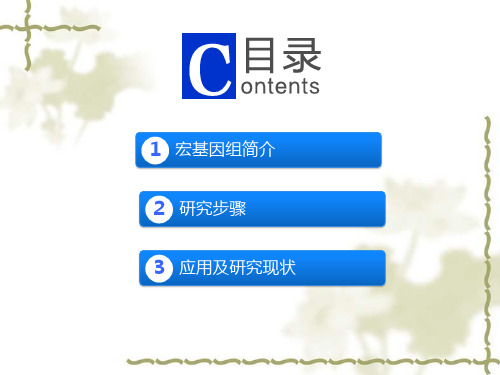 宏基因组