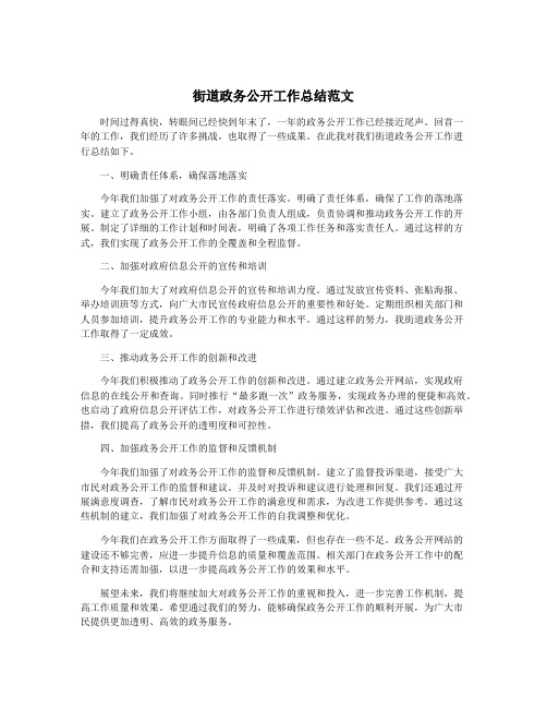 街道政务公开工作总结范文