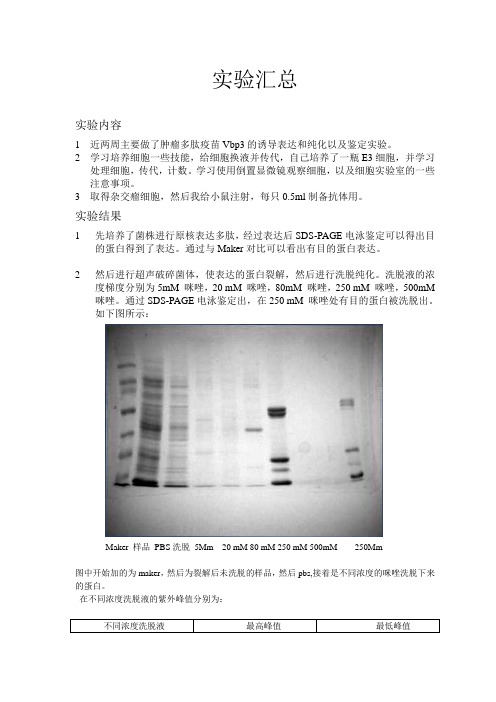 纯化蛋白,实验总结