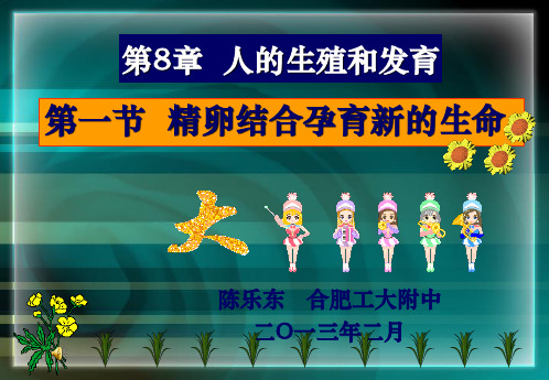 1-第8章第一节精卵结合孕育新的生命