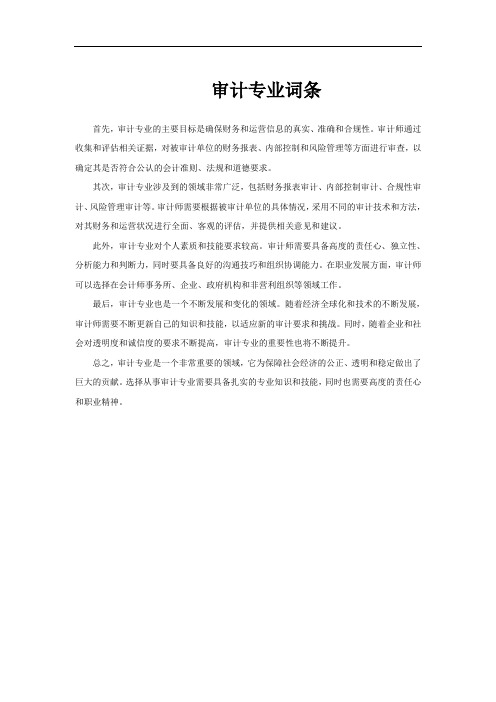 审计专业词条
