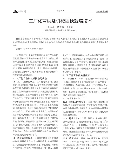 工厂化育秧及机械插秧栽培技术