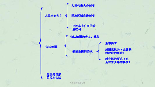 九年级政治复习课课件