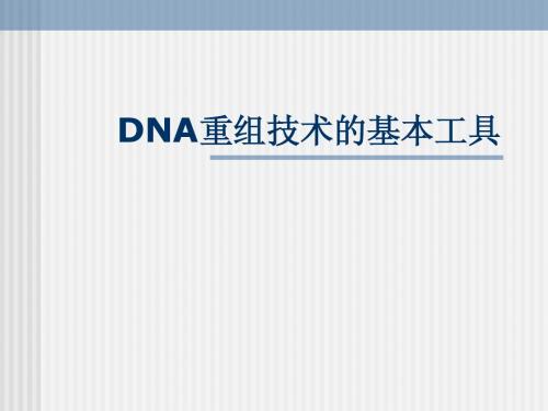 生物：1.1《DNA重组技术的基本工具》ppt(新人教版选修3)