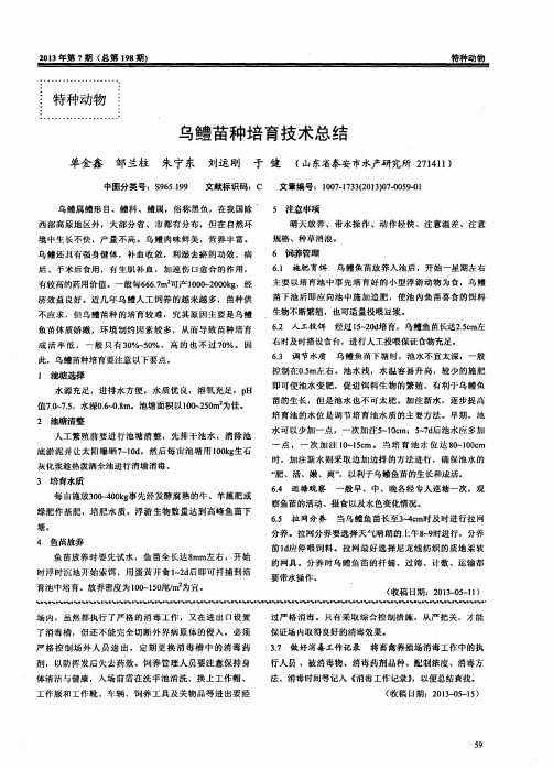 乌鳢苗种培育技术总结