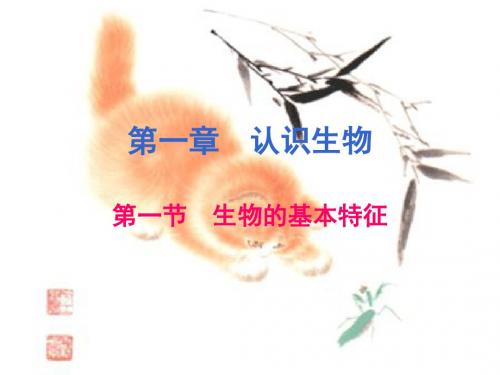 人教版七年级上册生物第一单元第一章第一节生物的特征课件(共18页) (共18张PPT)