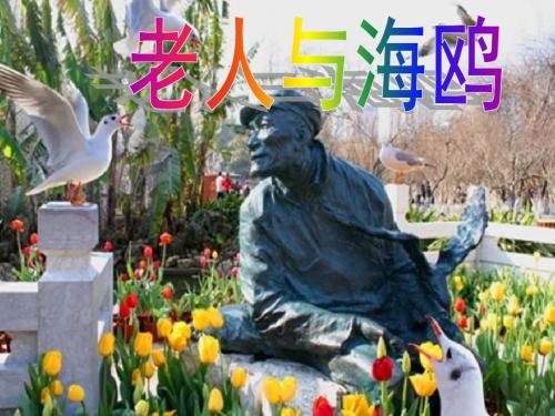 老人与海鸥优秀课件-图文
