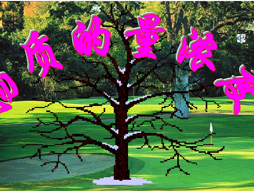 人教版化学必修一化学计量在实验中的应用物质的量浓度课件