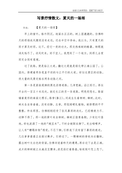 写景抒情散文：夏天的一场雨
