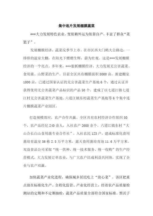 集中连片发展棚膜蔬菜
