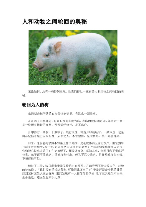 人和动物之间轮回的奥秘