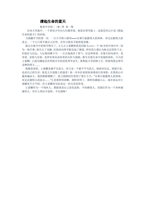 撑起生命的蓝天