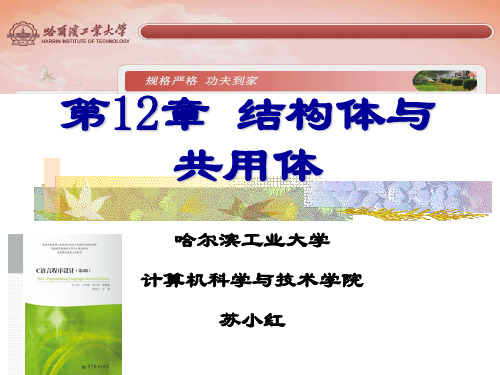 《C语言程序设计》(第2版)苏小红-13章 12