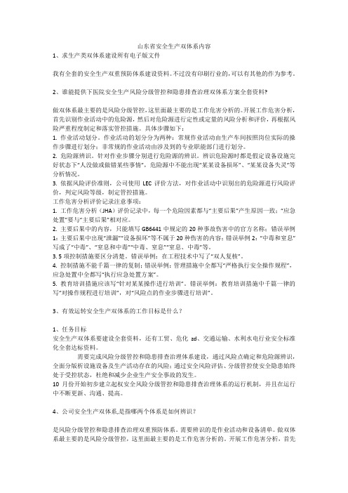 山东省安全生产双体系内容安全生产